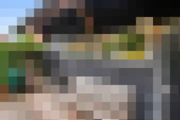 Julianalaan 20 Bennekom thumbnail 19