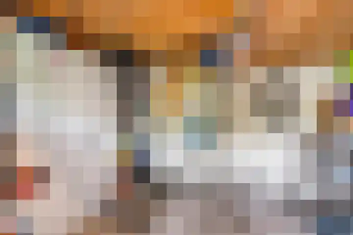 Julianalaan 20 Bennekom thumbnail 20