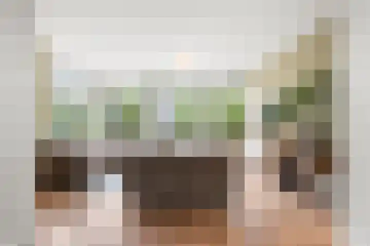 Julianalaan 20 Bennekom thumbnail 25
