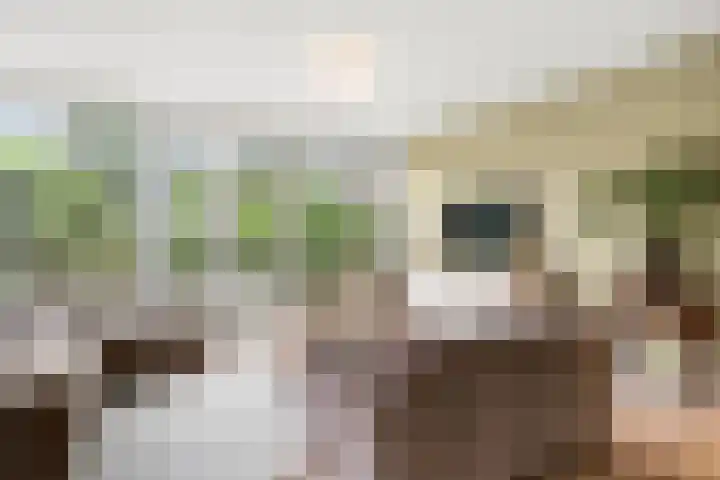 Julianalaan 20 Bennekom thumbnail 26