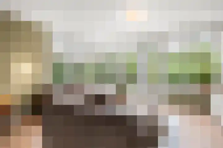 Julianalaan 20 Bennekom thumbnail 27