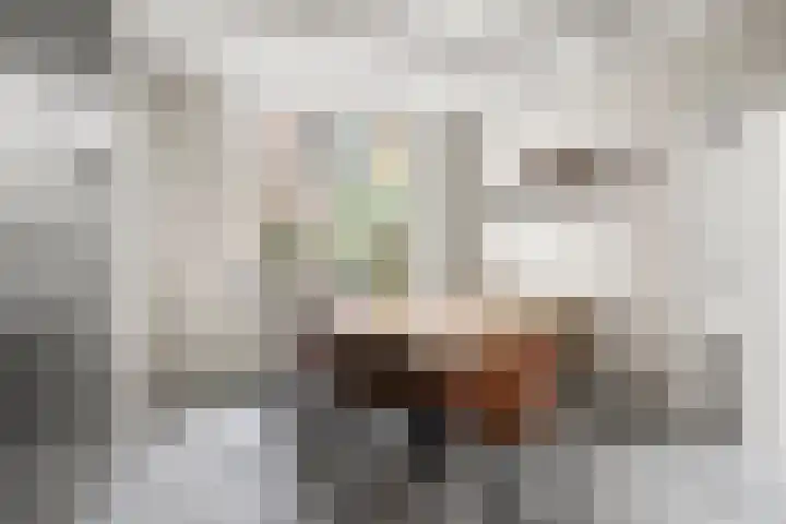 Julianalaan 20 Bennekom thumbnail 32