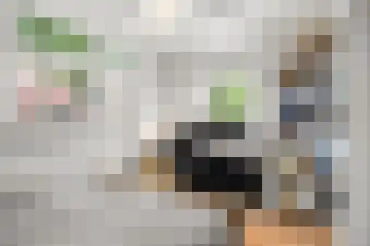 Julianalaan 20 Bennekom thumbnail 39