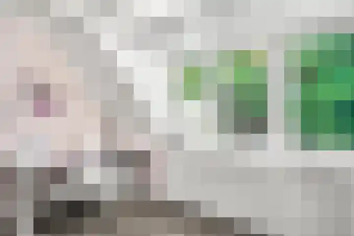 Julianalaan 20 Bennekom thumbnail 45