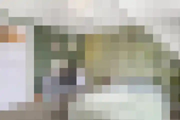 Julianalaan 20 Bennekom thumbnail 49