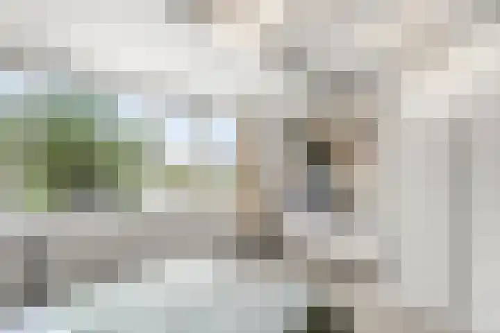 Julianalaan 20 Bennekom thumbnail 51