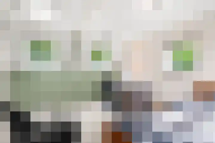 Julianalaan 20 Bennekom thumbnail 54