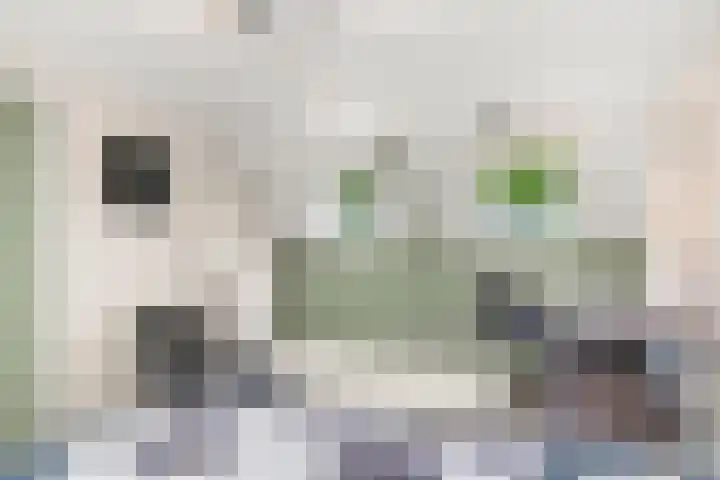 Julianalaan 20 Bennekom thumbnail 55