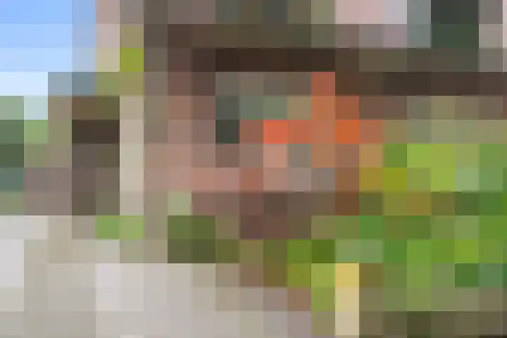 Julianalaan 20 Bennekom thumbnail 6