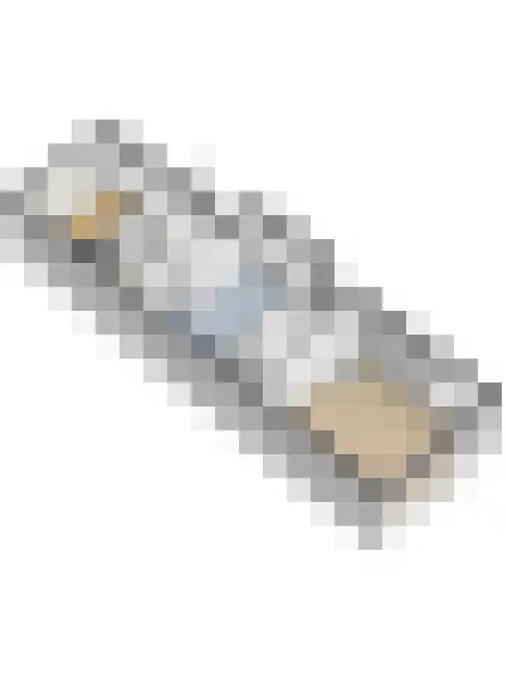 Julianalaan 20 Bennekom thumbnail 62
