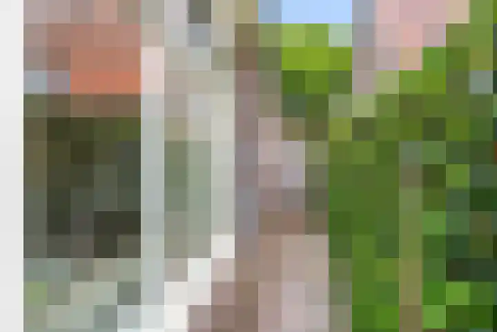 Julianalaan 20 Bennekom thumbnail 7
