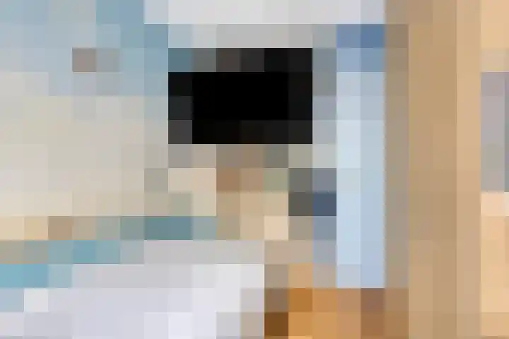 Julianalaan 20 Hoevelaken thumbnail 22