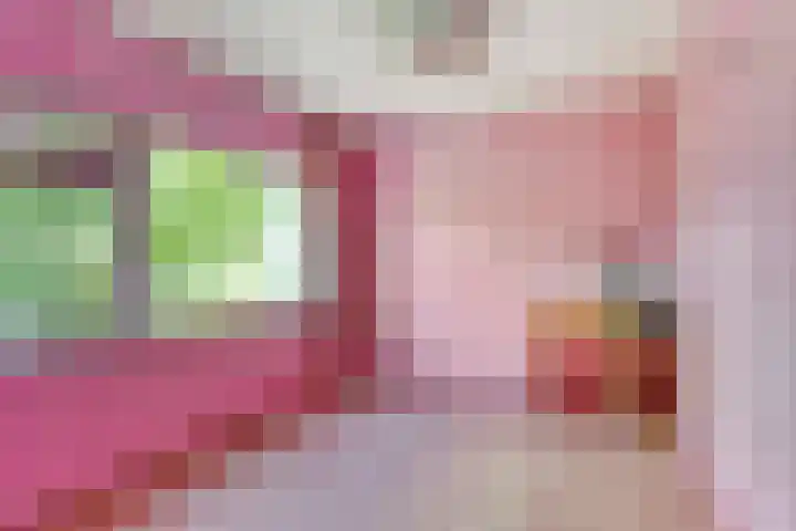 Julianalaan 20 Hoevelaken thumbnail 23