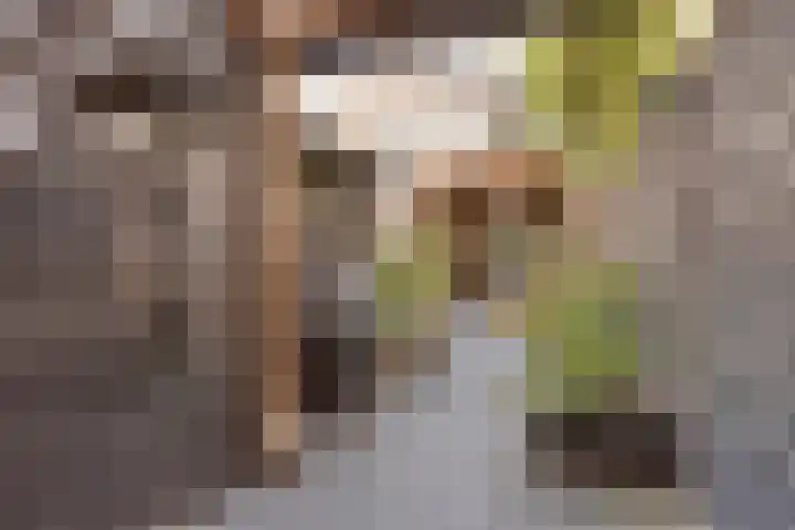 Julianalaan 20 Hoevelaken thumbnail 28