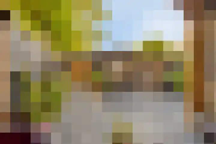 Julianalaan 20 Hoevelaken thumbnail 30