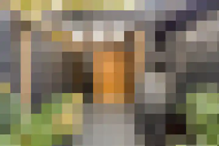 Julianalaan 20 Hoevelaken thumbnail 31