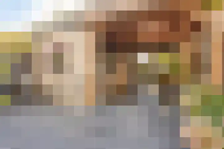 Julianalaan 20 Hoevelaken thumbnail 32