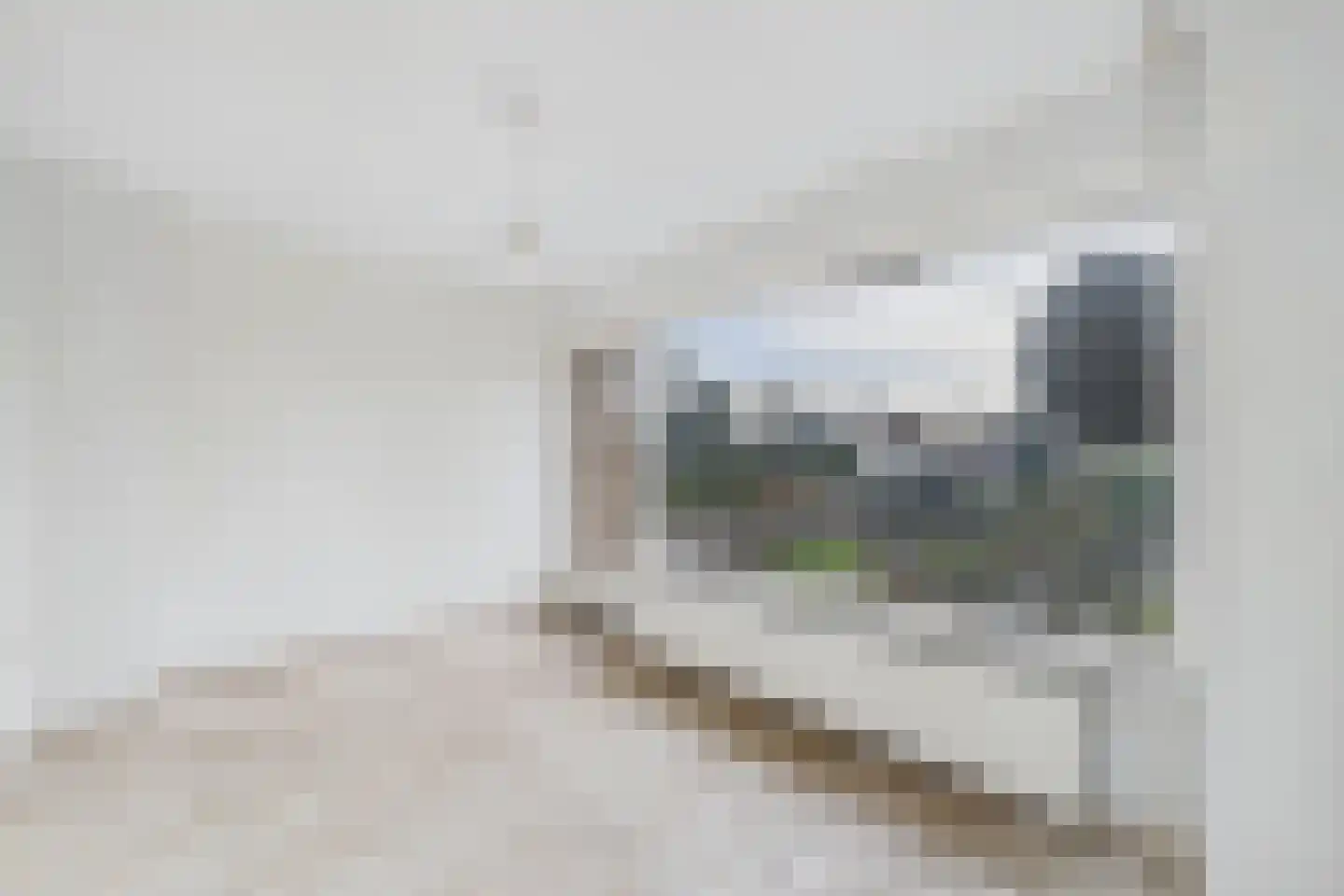 Julianalaan 20 Hulst thumbnail 18