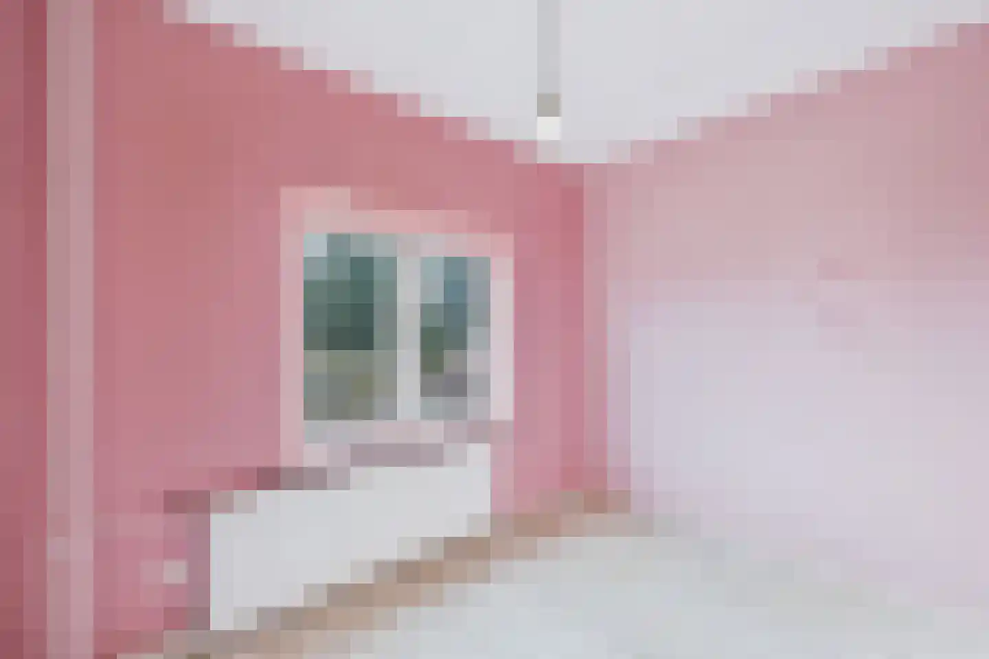 Julianalaan 20 Hulst thumbnail 20