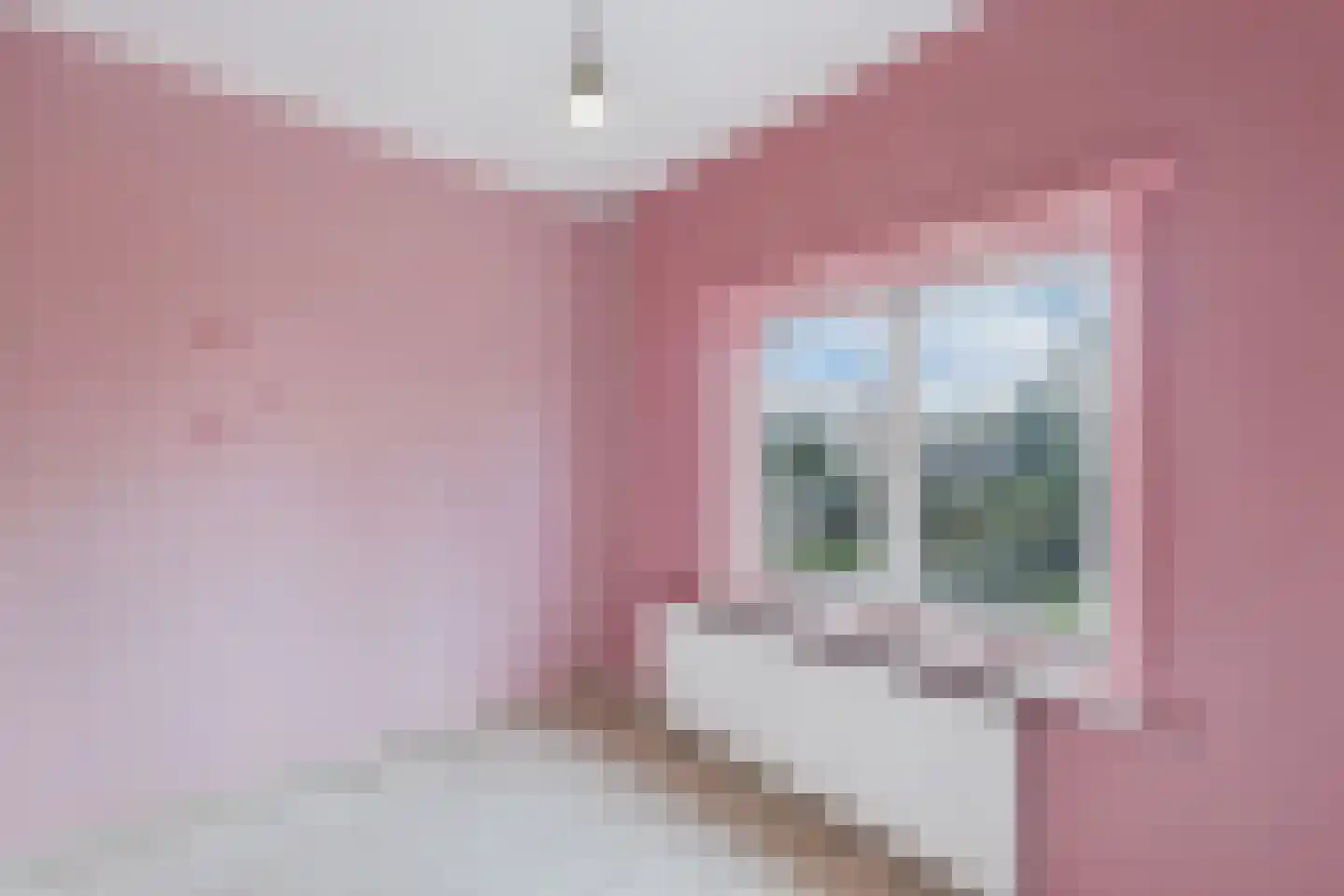 Julianalaan 20 Hulst thumbnail 21