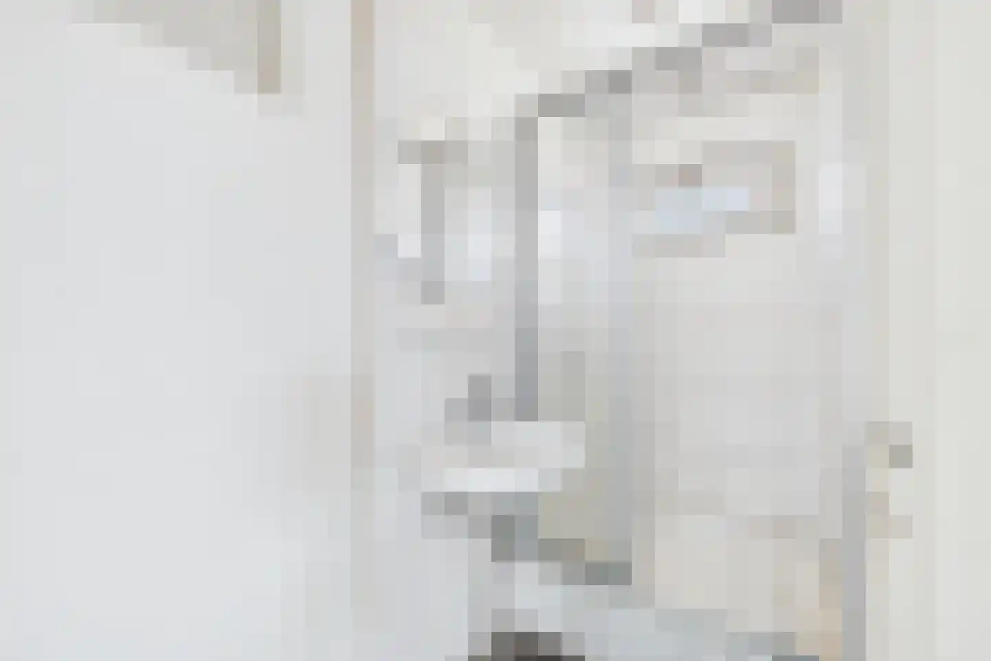 Julianalaan 20 Hulst thumbnail 23