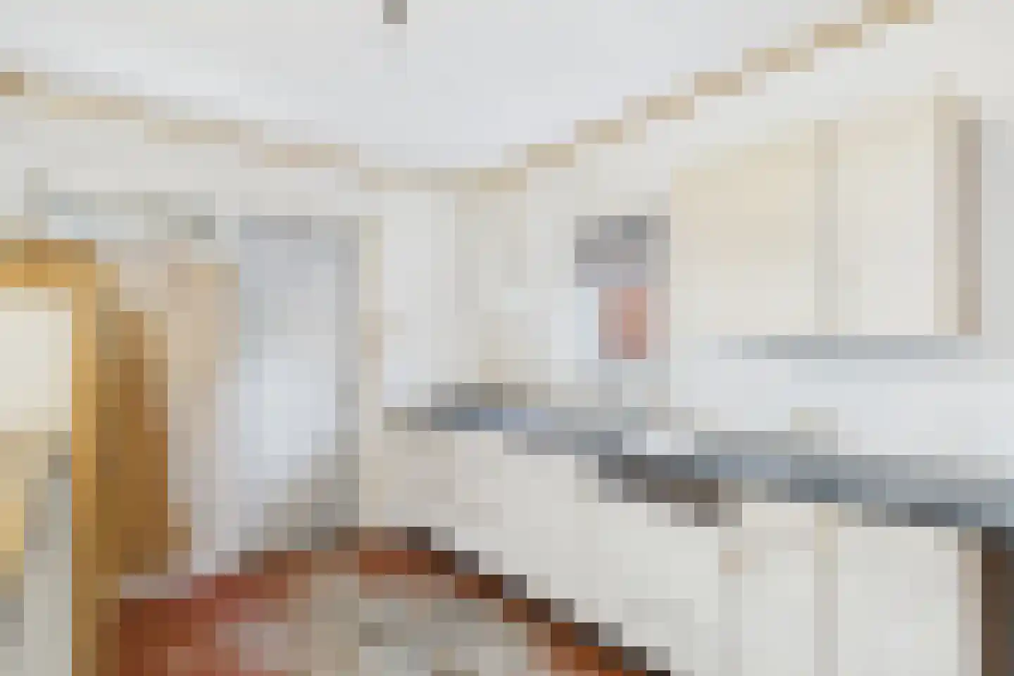 Julianalaan 20 Hulst thumbnail 5