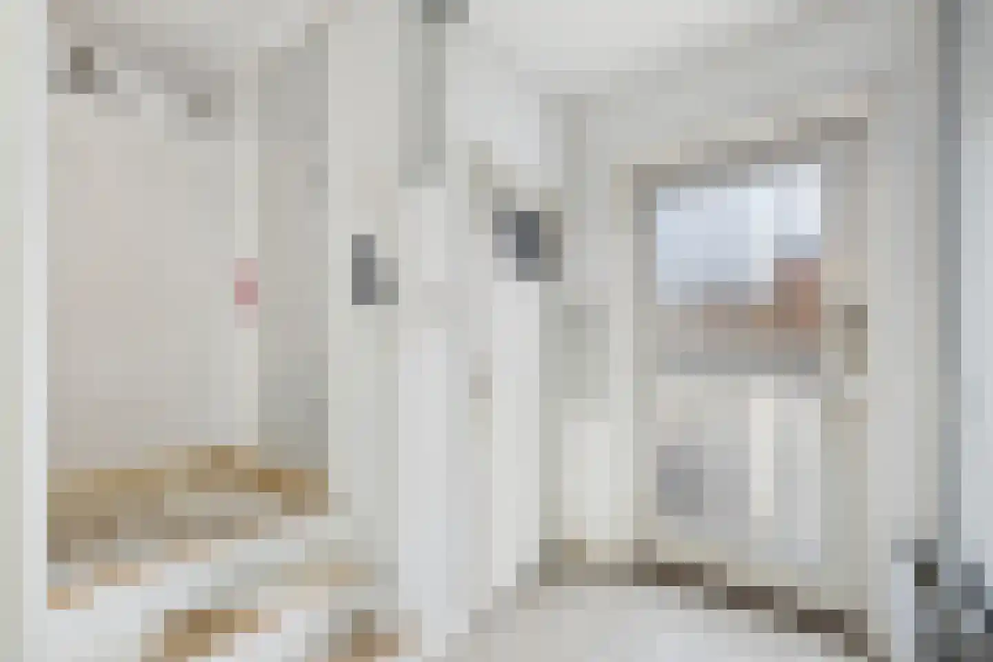 Julianalaan 20 Hulst thumbnail 9