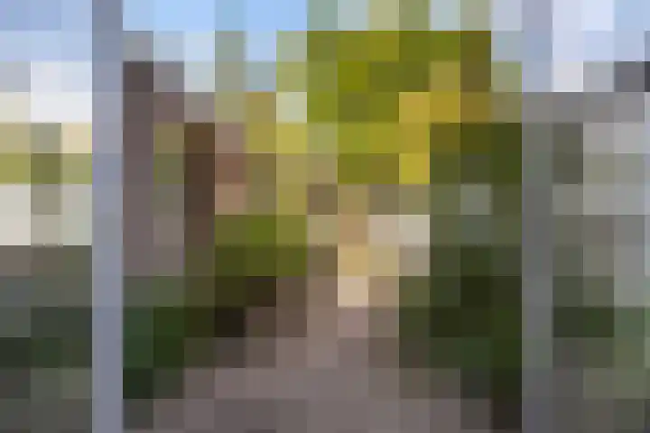 Julianalaan 20 Leeuwarden thumbnail 14