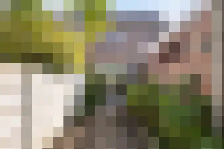 Julianalaan 20 Leeuwarden thumbnail 16