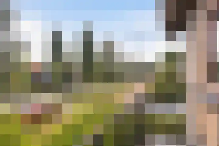 Julianalaan 20 Leeuwarden thumbnail 34