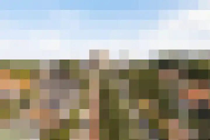 Julianalaan 20 Leeuwarden thumbnail 51