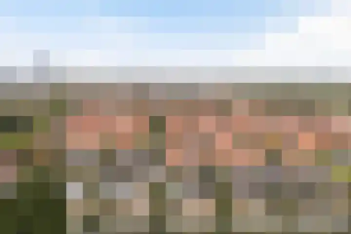 Julianalaan 20 Leeuwarden thumbnail 52