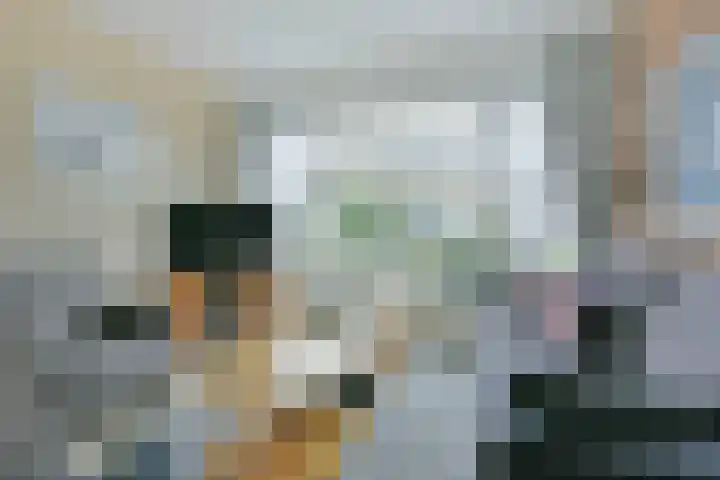 Julianalaan 20 Nieuwkoop thumbnail 11