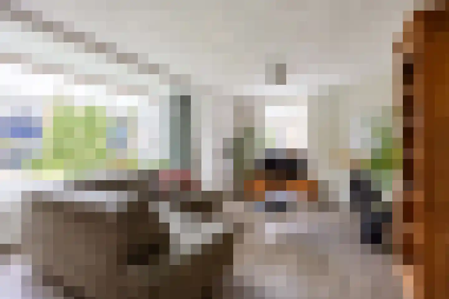 Julianalaan 20 Zuidhorn thumbnail 11