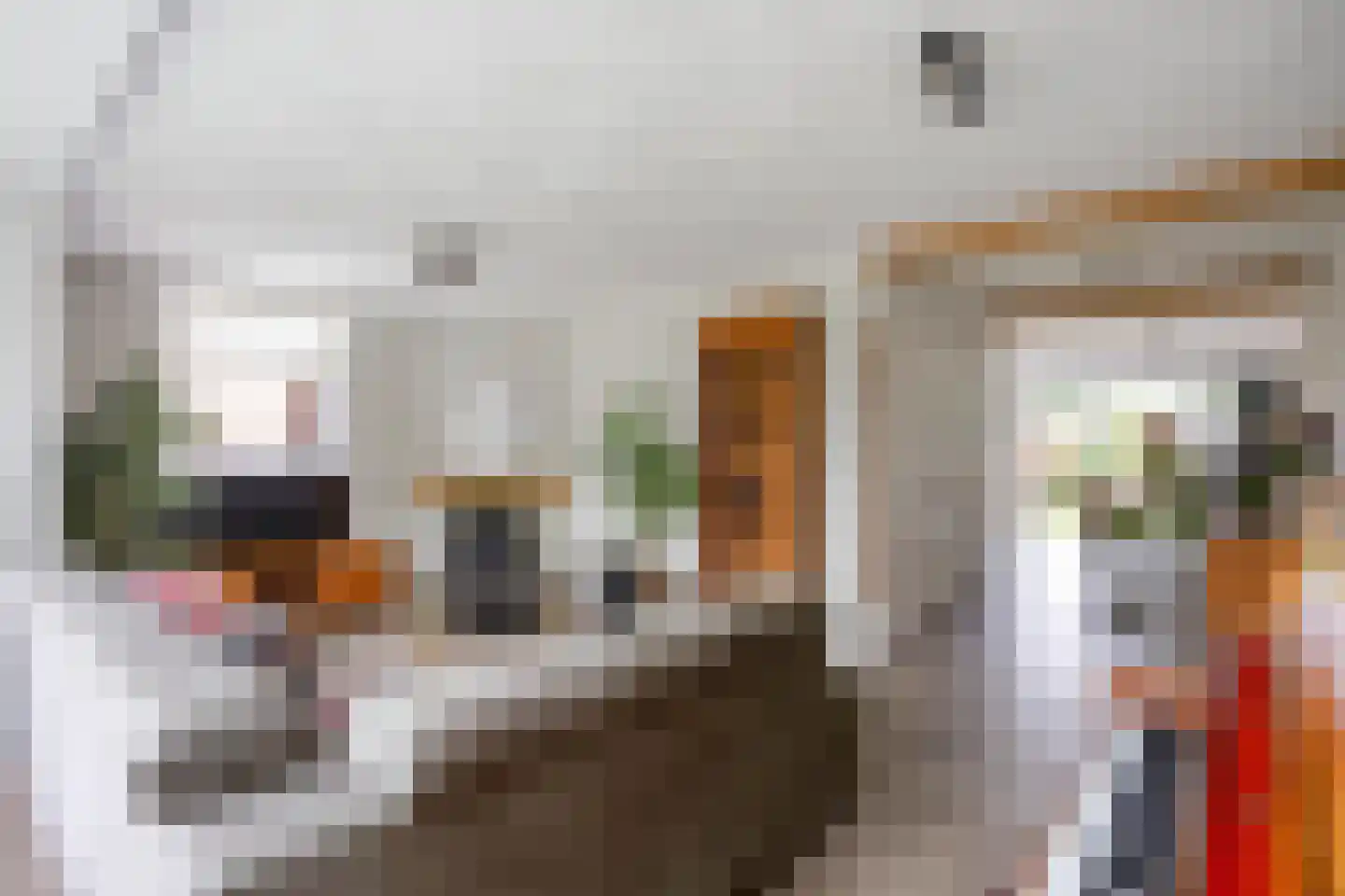 Julianalaan 20 Zuidhorn thumbnail 12