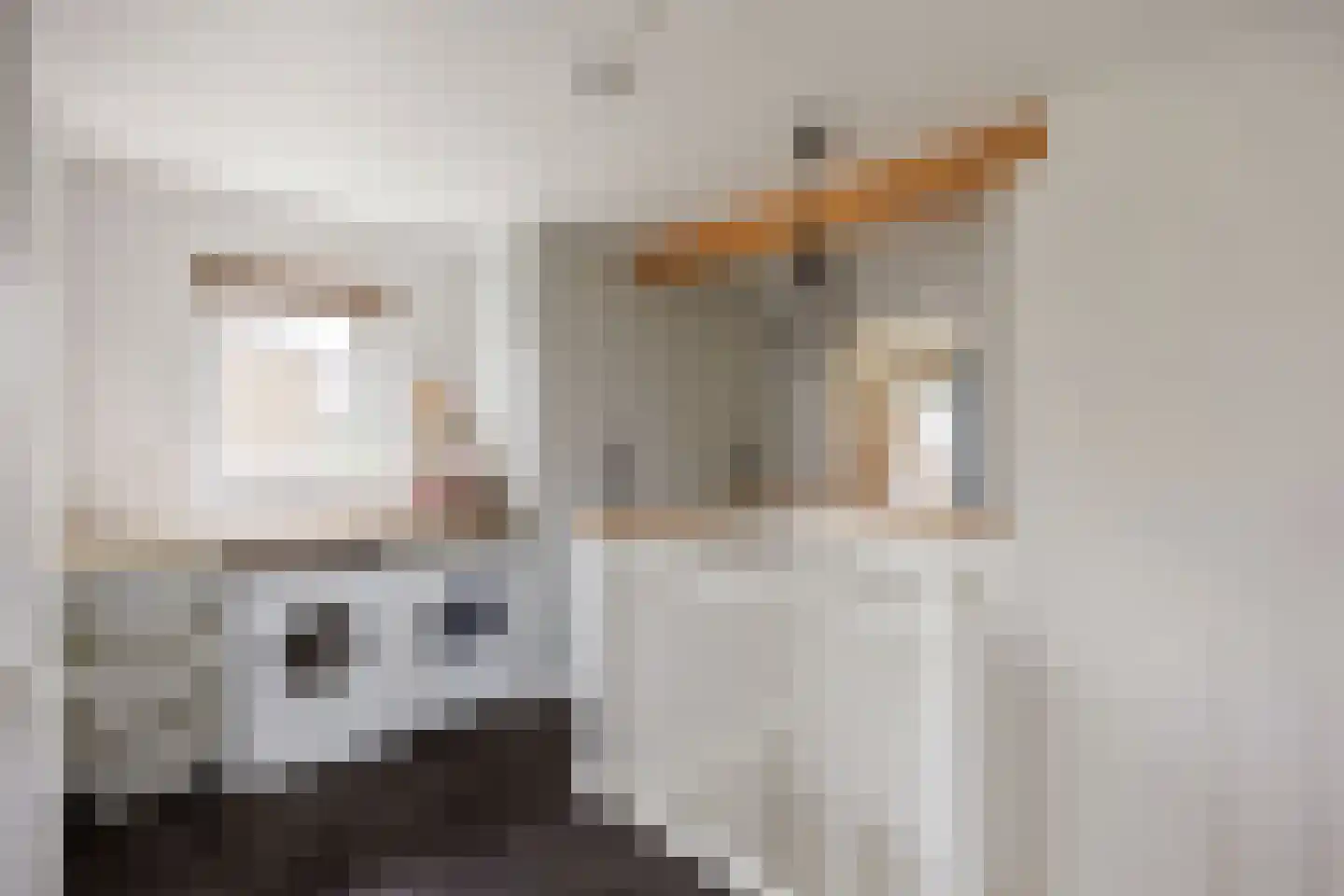 Julianalaan 20 Zuidhorn thumbnail 22