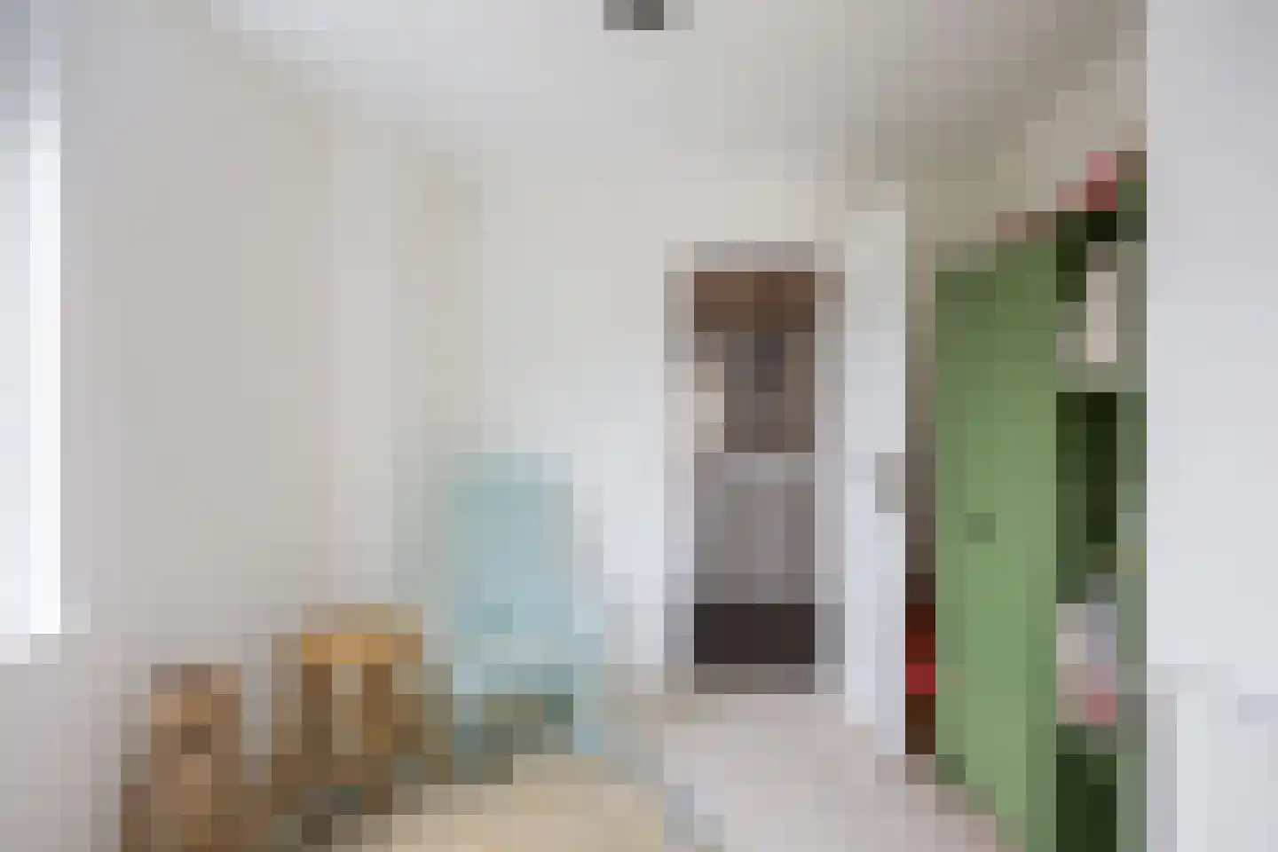 Julianalaan 20 Zuidhorn thumbnail 30