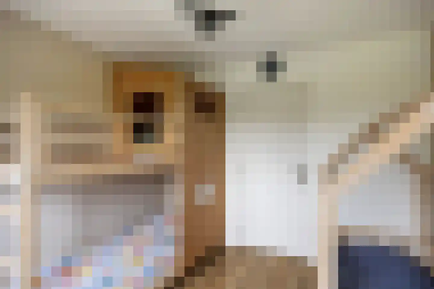 Julianalaan 20 Zuidhorn thumbnail 34