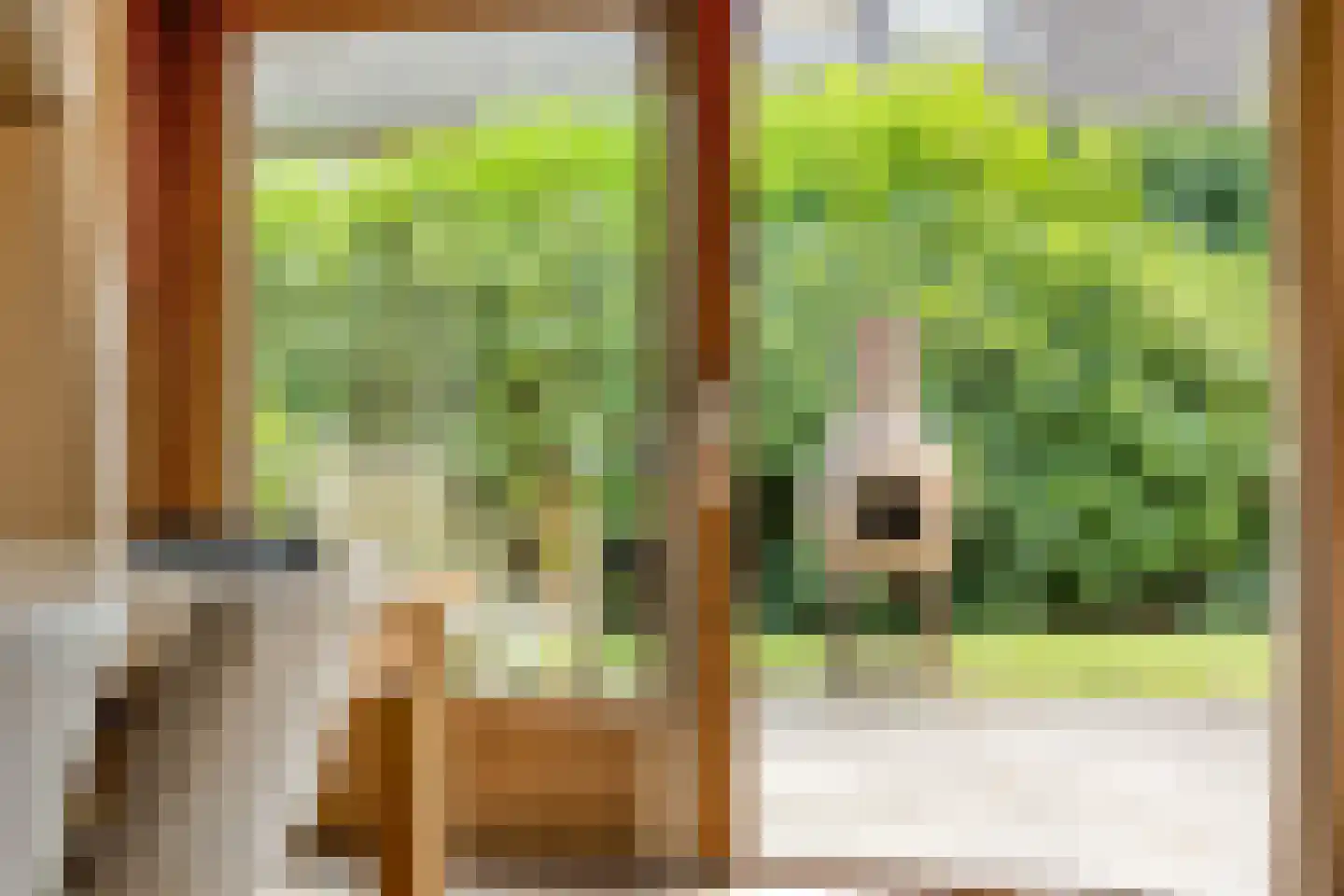 Julianalaan 21 Aarle-Rixtel thumbnail 15
