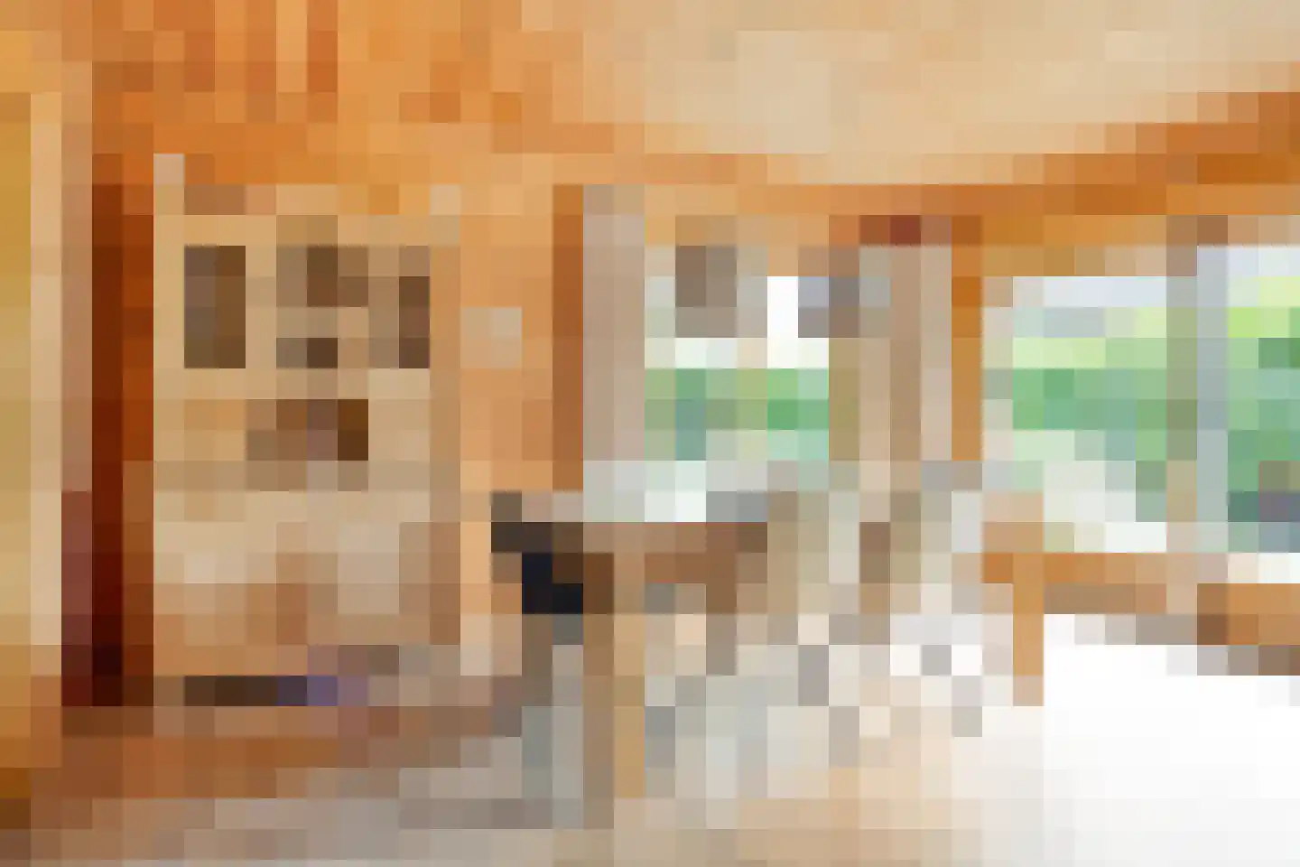 Julianalaan 21 Aarle-Rixtel thumbnail 16