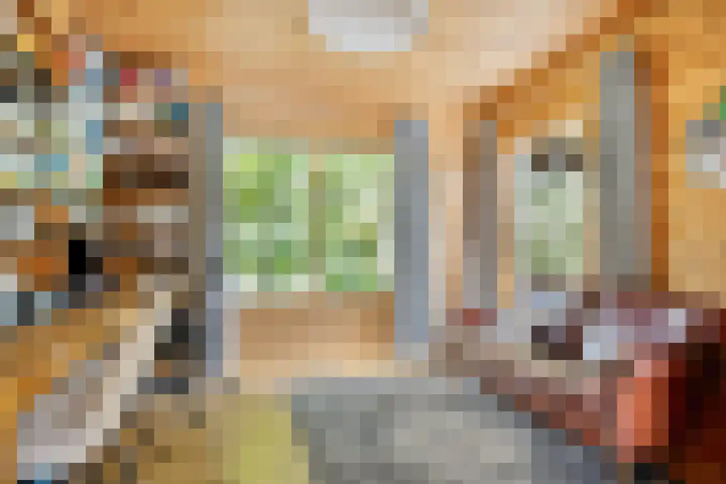 Julianalaan 21 Aarle-Rixtel thumbnail 17