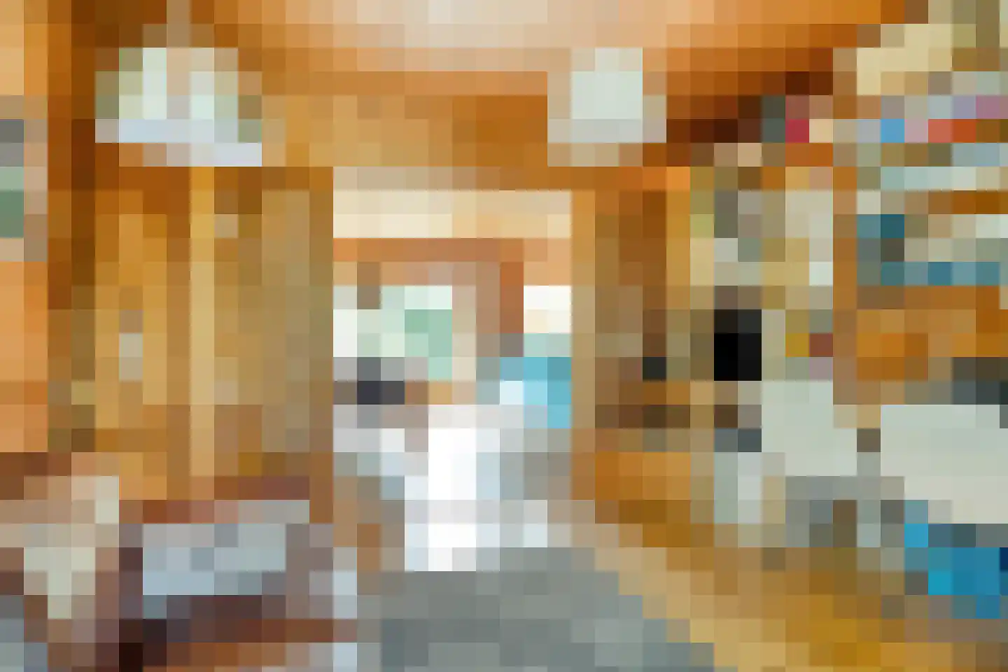 Julianalaan 21 Aarle-Rixtel thumbnail 18