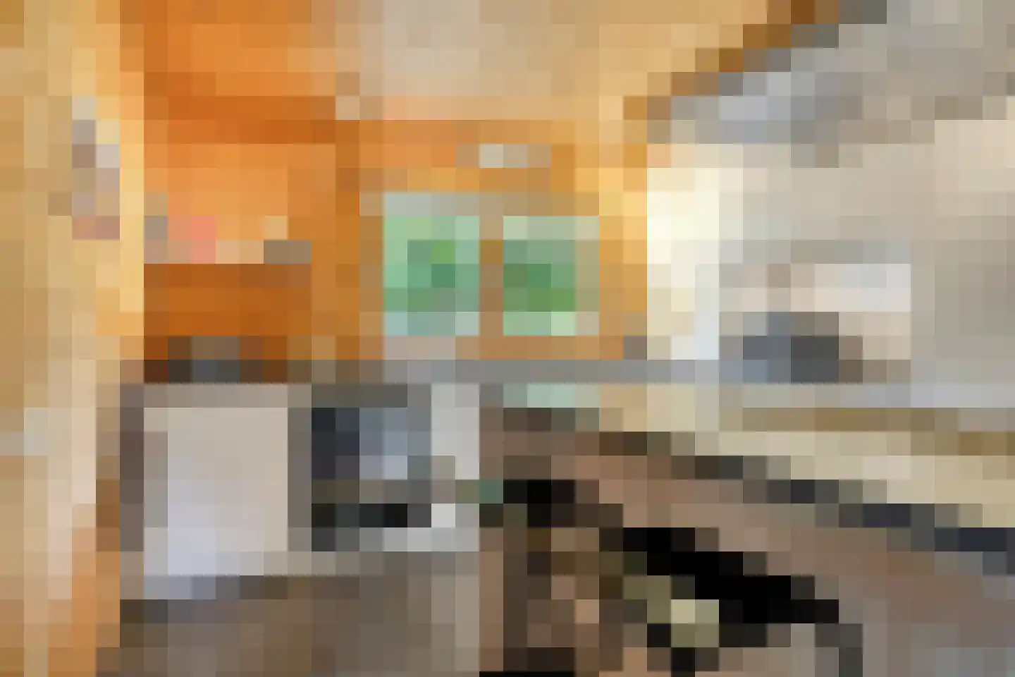 Julianalaan 21 Aarle-Rixtel thumbnail 19