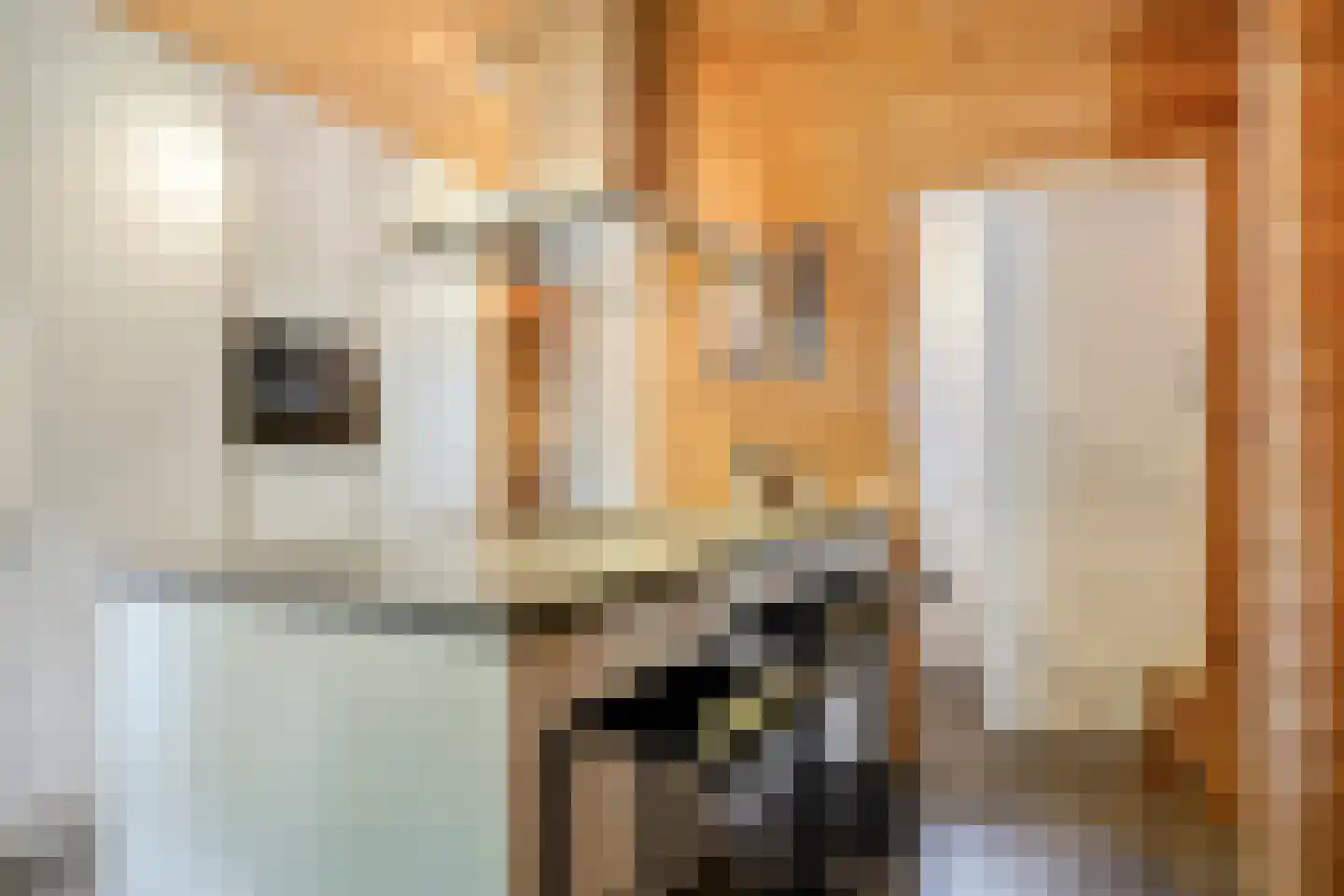 Julianalaan 21 Aarle-Rixtel thumbnail 20