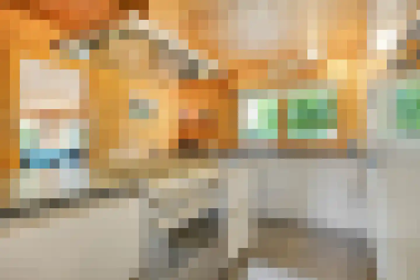 Julianalaan 21 Aarle-Rixtel thumbnail 21