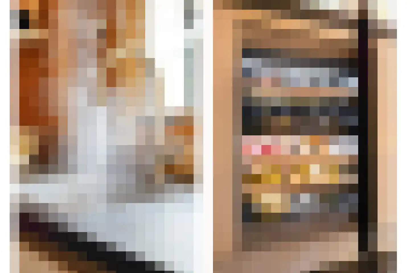 Julianalaan 21 Aarle-Rixtel thumbnail 22