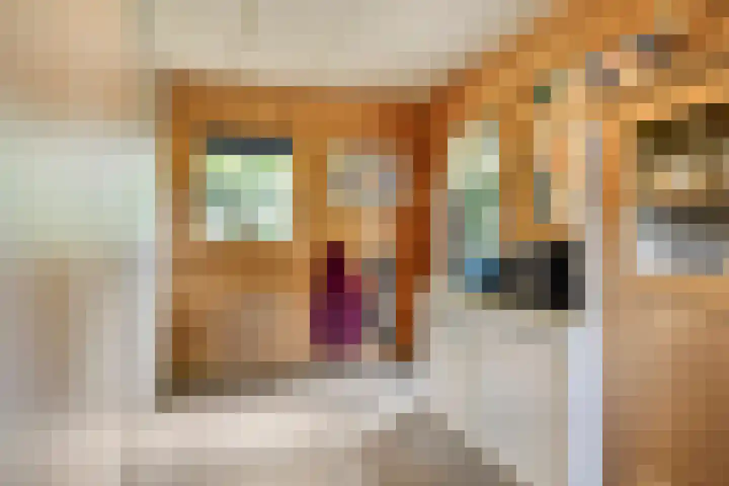 Julianalaan 21 Aarle-Rixtel thumbnail 23