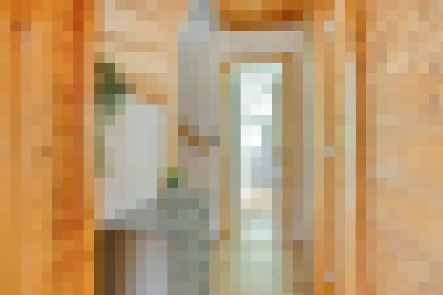 Julianalaan 21 Aarle-Rixtel thumbnail 25