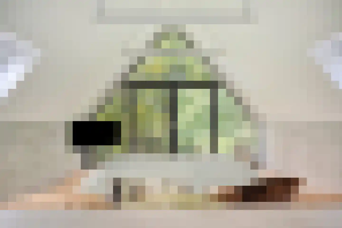 Julianalaan 21 Aarle-Rixtel thumbnail 26