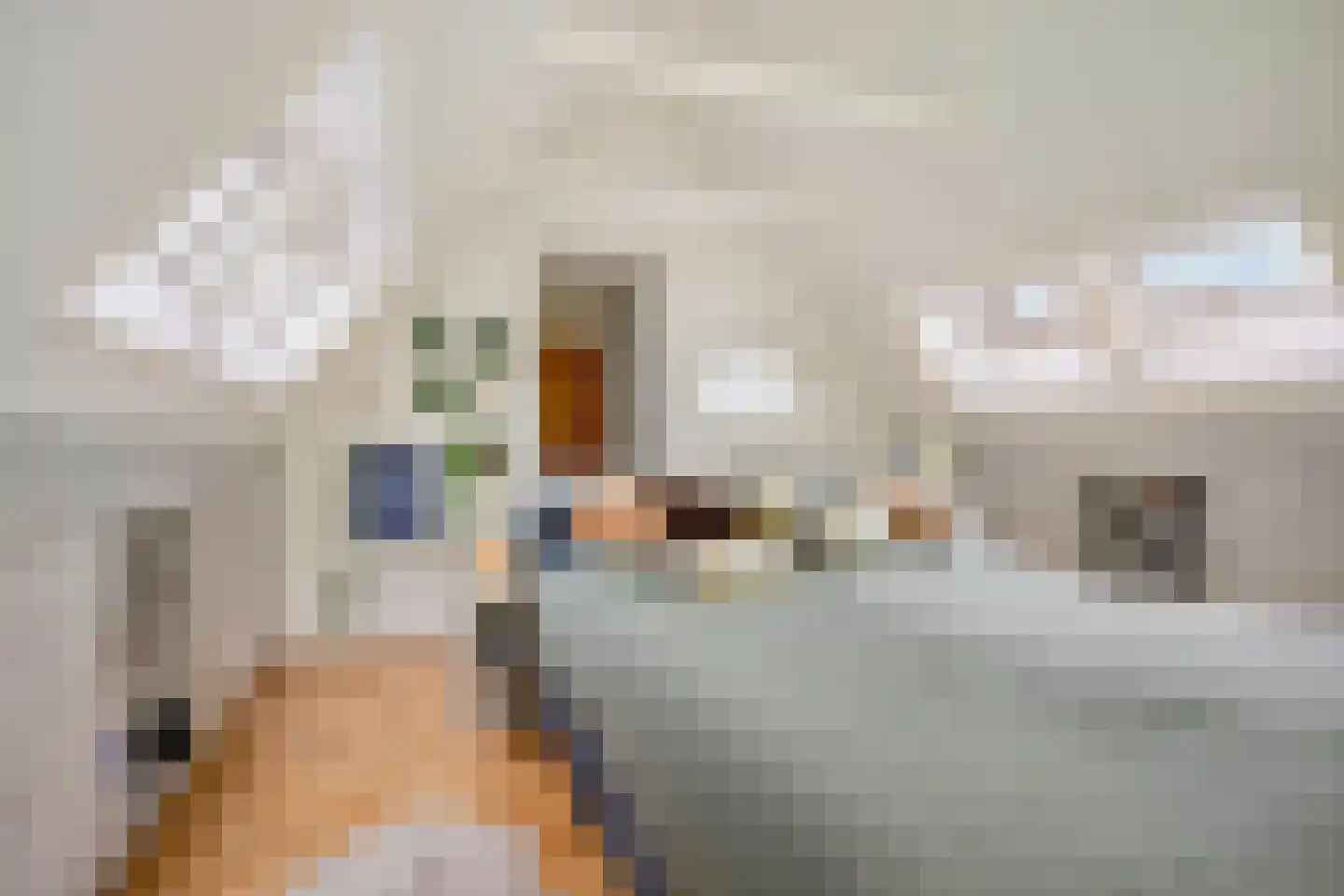 Julianalaan 21 Aarle-Rixtel thumbnail 28